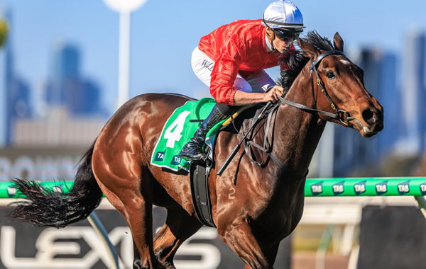 Buccleuch wins at Flemington - image Grant Courtney