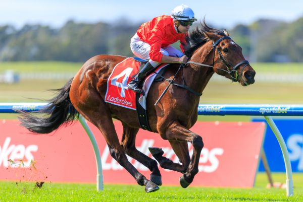 Buccleuch is back in winning form - image Grant Courtney