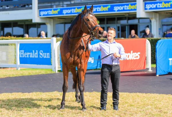 Buccleuch is back better than ever - image Grant Courtney