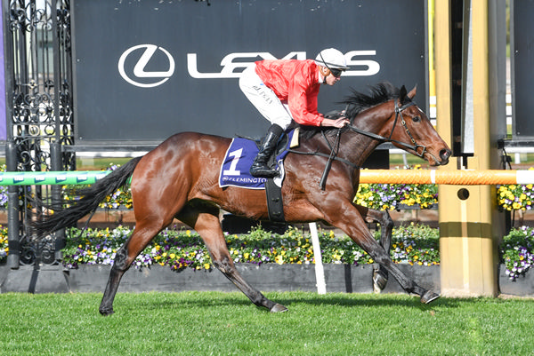 Buccleuch wins the Listed Taj Rossi Series final - image Brett Holburt/ Racing Photos