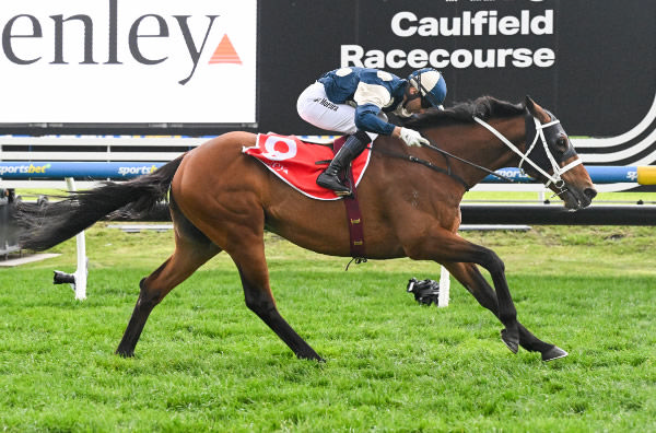 Buckaroo wins the G1 Underwood Stakes - image Reg Ryan / Racing Photos