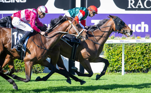 Buckets Ridge wins the Listed GA Towton Cup - image Western Racepix