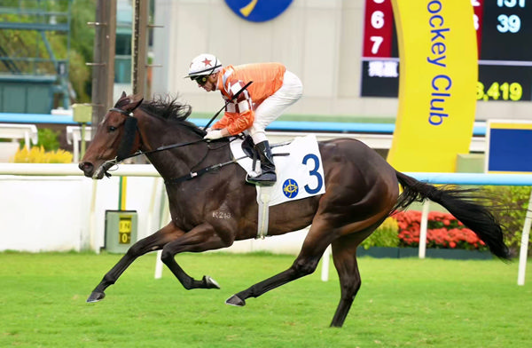 Bulb General wins at Sha Tin  - image HKJC