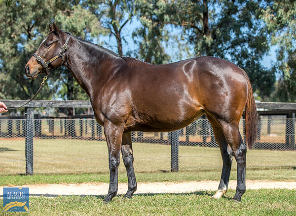 Bulbula was bought for $1.35million.