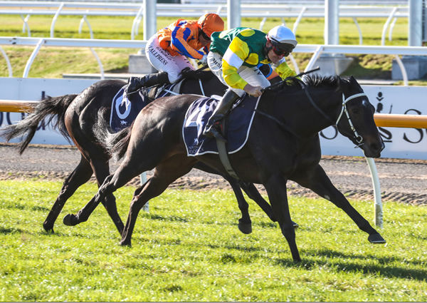 Burgie races to victory in the Listed New Zealand Bloodstock Warstep Stakes (2000m) at Riccarton Photo Credit: Race Images South