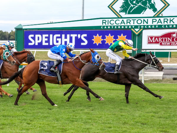 Shane Anderton after Burgie's victory in the Gr.3 Valachi Downs South Island Thoroughbred Breeders’ Stakes (1600m) at Riccarton.  Photo: Race Images South