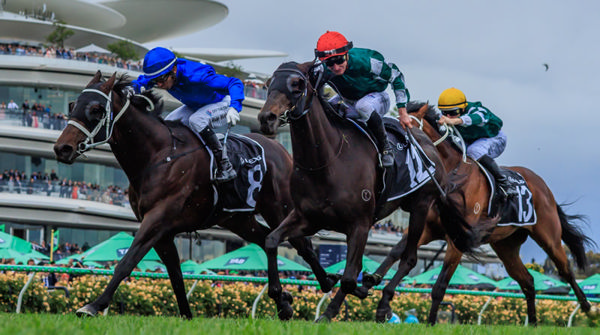 Burma Star wins the Listed Amanda Elliott - image Grant Courtney