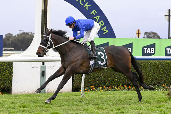 3yo Exceed And Excel Colt Burma Star Wins In Style At Warwick Farm - Image Bradley Photos