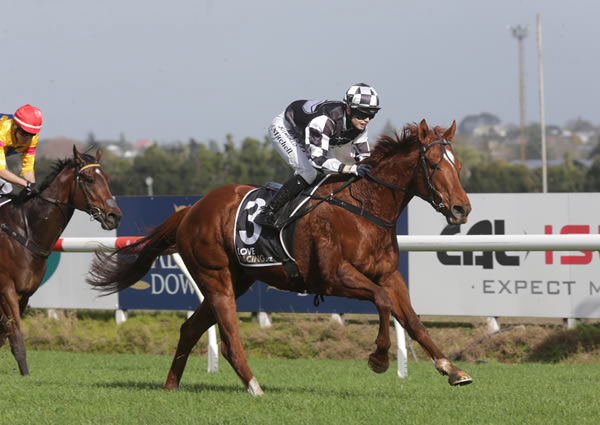 Butler cruises to a fresh-up victory at Te Rapa Photo credit: Trish Dunell