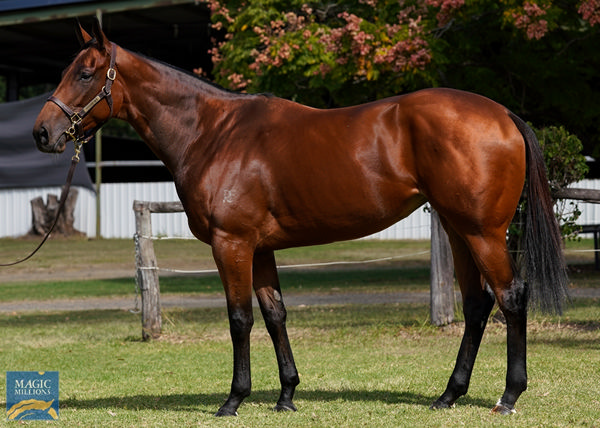 Cabaca is a half-sister to champion mare Imperatriz.