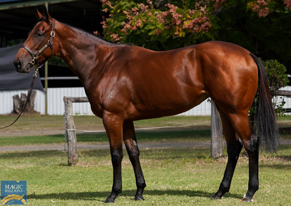 Cabaca looks to have been well bought for $460,000, star broodmare of the future for Cressfield!