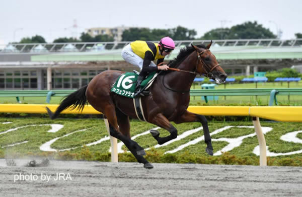 Cafe Pharoah wins the G3 Unicorn stakes at Tokyo racecourse- image JRA 