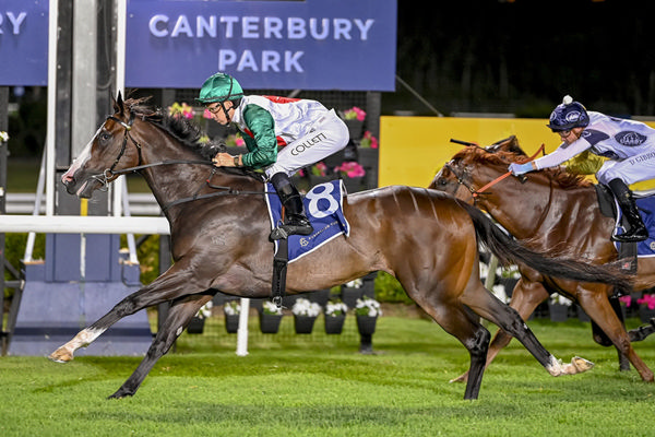 Exciting Snitzel Filly Caffe Florian Records Consecutive Wins At Canterbury - Image Bradley Photos