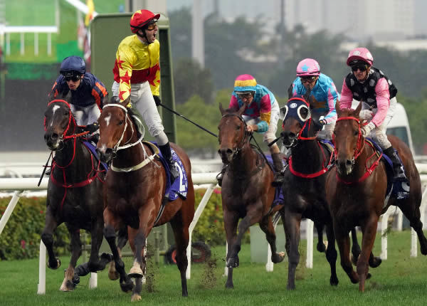 California Spangle (IRE) wins the G1 Queen's Silver Jubilee Cup - image HKJC 