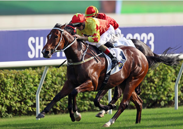 California Spangle wins the G2 Sha tin Trophy - image HKJC