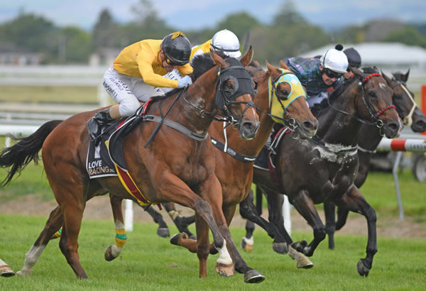 Callsign Mav (black cap) hits top gear as he strides to victory at Awapuni Photo Credit: Race Images – Peter Rubery