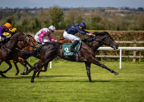 Camille Pissarro wins on debut - image Coolmore