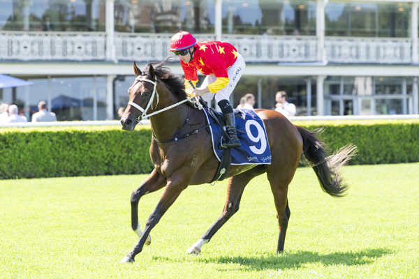 Campione D'Italia books his ticket to the Golden Slipper - image Bradley Photos