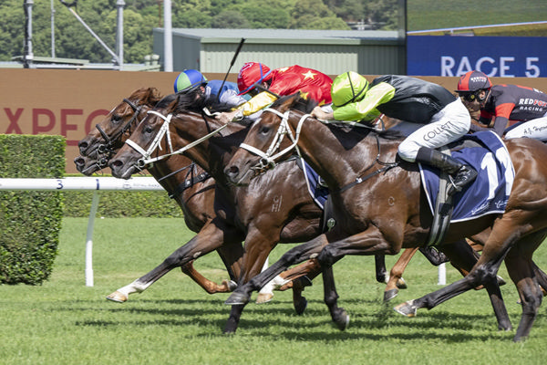 Campione D'Italia (red cap) gets his nose down right on the line - Image Bradley Photos