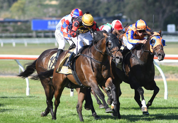 Can I Get An Amen (yellow cap) heads to the winning post at Trentham Photo Credit: Race Images – Peter Rubery