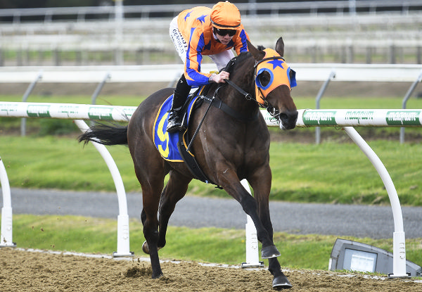 Cantatrice was one of four winners for Te Akau Racing at Cambridge on Wednesday. Photo: Kenton Wright (Race Images)