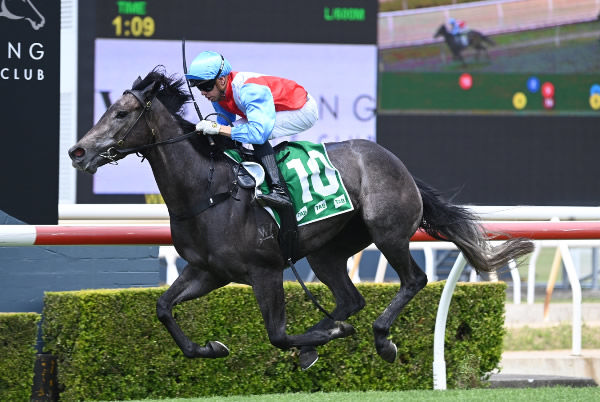 Blueblood Pierro filly Candlewick opened her career with a win at Wyong - image Steve Hart