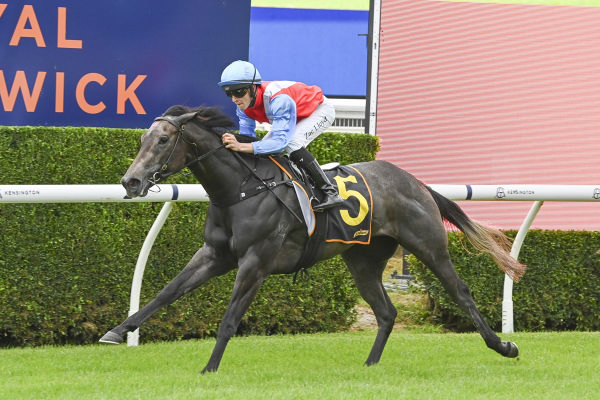 Candlewick wins at Randwick - image Bradley Photography