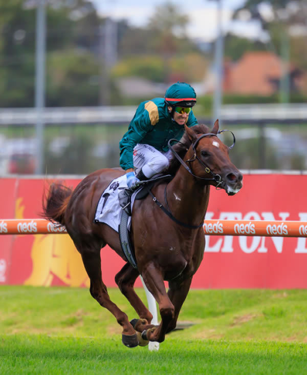 Cannonball in full flight - image Grant Courtney