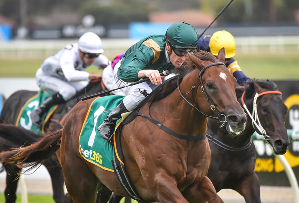 Cannonball wins with ease at Geelong - image Reg Ryan / Racing Photos