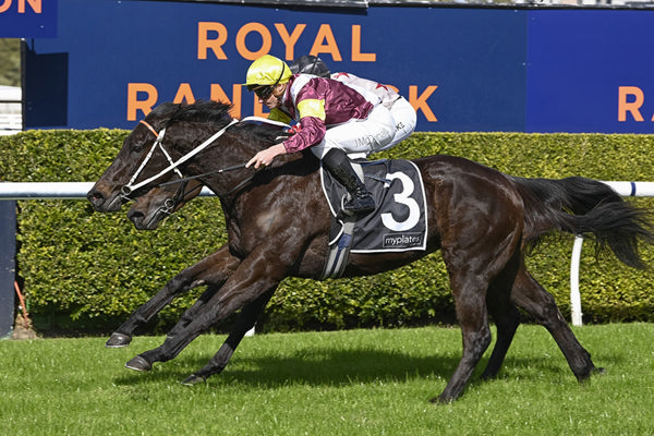 Too Darn Hot Quinella As Cantiamo Leads Home Nullarbor Jane  - Image Bradley Photos