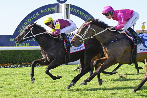 Stakes Class Awaits As Cantiamo Goes Back To Back - Image Bradley Photos