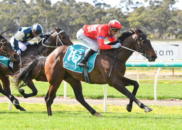 Captain Barbossa powers to the line at Bendigo - image Brett Holburt / Racing Photos