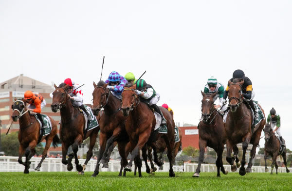 Captain Envious (green and black cap) pushes through the gap to get up and win the Gr.3 Easter Cup at Caulfield. Photo: Bruno Cannatelli