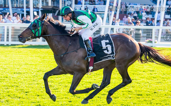 Captain Pluto win the Listed Luckygray Stakes - image Western Racepix