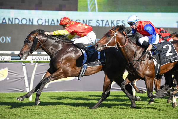 Captivant wins the G1 Champagne Stakes - image Steve Hart.