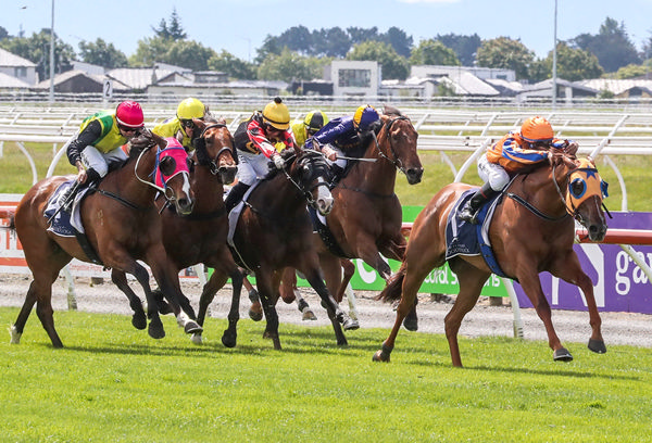Captured By Love winning the Gr.3 Windsor Park Stud Canterbury Breeders’ Stakes (1400m) at Riccarton on Saturday. Photo: Ajay Berry (Race Images South)