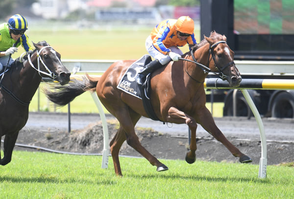 Captured By Love will contest the Gr.2 J Swap Contractors Ltd Matamata Breeders’ Stakes (1200m) on Saturday.   Photo: Peter Rubery (Race Images Palmerston North)