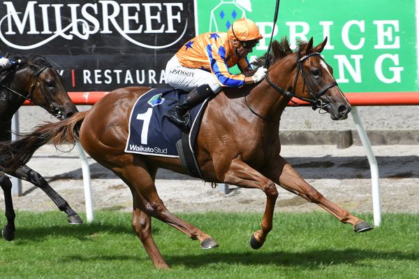 Captured By Love strides clear in the Gr.2 J Swap Contractors LTD Matamata Breeders’ Stakes (1200m) under Opie Bosson.  Photo: Kenton Wright (Race Images)