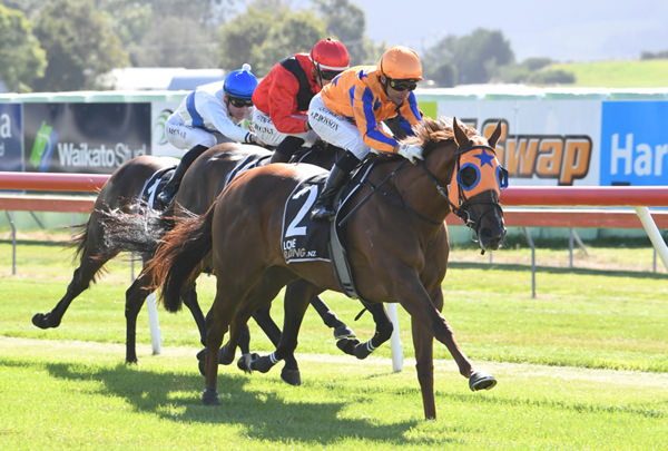 Captured By Love winning at Taupo on Sunday. Photo: Peter Rubery (Race Images)