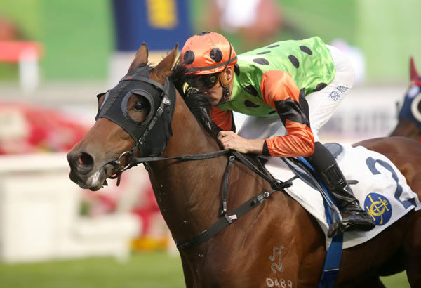 Widden Stud bred and sold Carroll Street wins at Sha Tin - image HKJC 