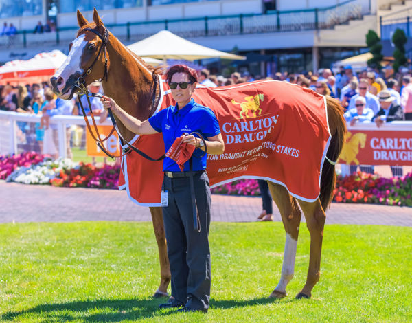 Cascadian-handsome son of a gun (image Grant Courtney)