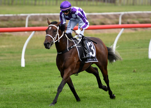 Impressive maiden winner Casino Princess Photo Credit: Race Images – Kenton Wright