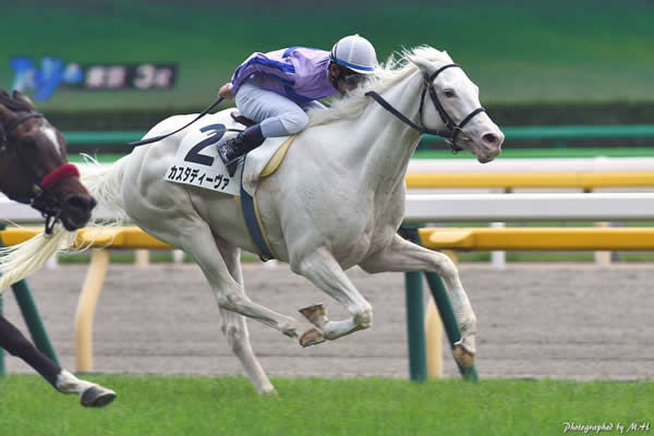 Casta Diva (High Chaparral x The Opera House) was a winner in Japan  