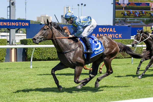So You Think 3YO Castagnola Gives Ron & Judy Wanless Consecutive Race Winners - Image Bradley Photos