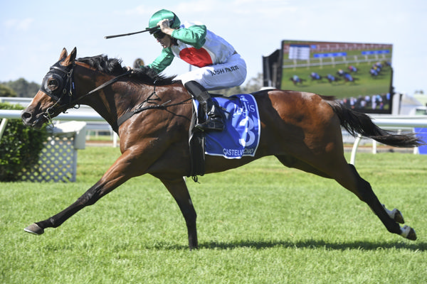Castelvecchio set a high standard when winning the Inglis Millennium in 2019 - Bradley Photos