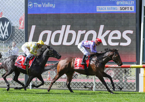 Castillian cruises to the line to win handsomely at The Valley Photo credit: Bruno Cannatelli