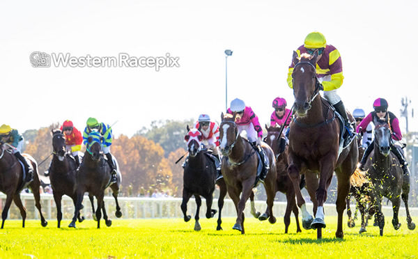 Castle Road impresses in the Listed WAT Perth Stakes - image Western Racepix