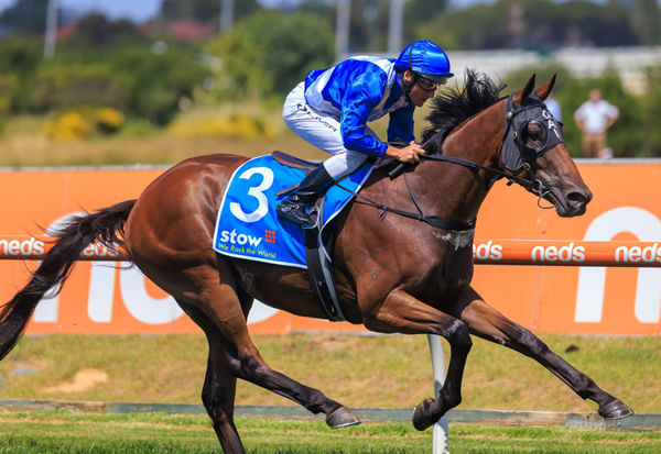 Castlereagh Kid wins G2 Autumn Classic in style - image Grant Courtney