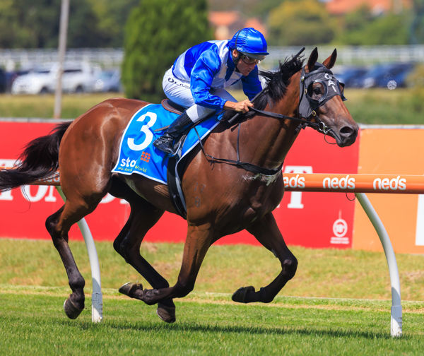 Castlereagh Kid wins the G2 Autumn Classic - image Grant Courtney