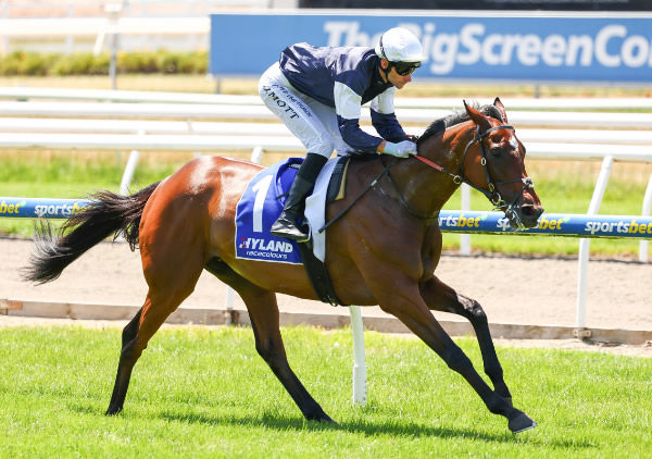 Catani Gardens canters home at Mornington - image Morgan Hancock / Racing Photos